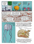 Самое умное животное на Земле