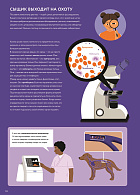 У ветеринара: как устроена медицина для животных