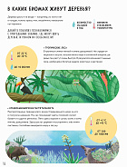 Тайны деревьев